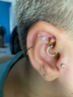 br-11134103-7qukw-lgcq61apip6m11